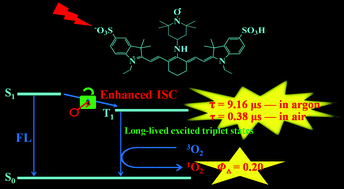 Graphical abstract: A near-infrared heptamethine aminocyanine dye with a long-lived excited triplet state for photodynamic therapy