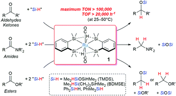 Graphical abstract: Remarkably high catalyst efficiency of a disilaruthenacyclic complex for hydrosilane reduction of carbonyl compounds