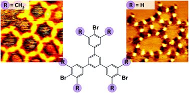 Graphical abstract: The influence of ortho-methyl substitution in organometallic self-assembly – a comparative study on Cu(111) vs. Ag(111)