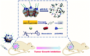Graphical abstract: Schiff base interaction tuned mesoporous organosilica nanoplatforms with pH-responsive degradability for efficient anti-cancer drug delivery in vivo