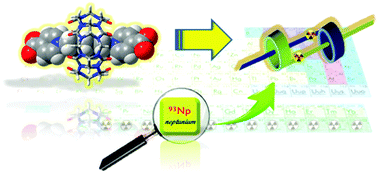 Graphical abstract: A neptunium(v)-mediated interwoven transuranium-rotaxane network incorporating a mechanically interlocked [c2]daisy chain unit