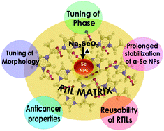 Graphical abstract: Controlling the phase and morphology of amorphous Se nanoparticles: their prolonged stabilization and anticancer efficacy