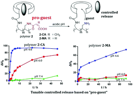 Graphical abstract: Pro-guest and acyclic cucurbit[n]uril conjugated polymers for the controlled release of anti-tumor drugs