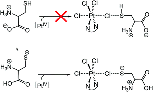 Graphical abstract: Reduction of a platinum(iv) prodrug model by sulfur containing biological reductants: computational mechanistic elucidation