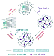 Graphical abstract: Optically-regulated thermal energy storage in diverse organic phase-change materials