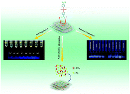 Graphical abstract: Porous coordination/covalent hybridized polymers synthesized from pyridine–zinc coordination compound and their CO2 capture ability, fluorescence and selective response properties