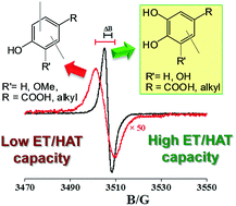 Graphical abstract: Disentangling structure-dependent antioxidant mechanisms in phenolic polymers by multiparametric EPR analysis