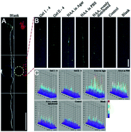 Graphical abstract: A supramolecular hydrogel for spatial-temporal release of auxin to promote plant root growth