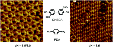 Graphical abstract: From 1D ordered linear polymers to discrete macrocycles: surface adsorption and pH take control