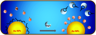 Graphical abstract: A novel mass spectrometry method based on competitive non-covalent interaction for the detection of biomarkers