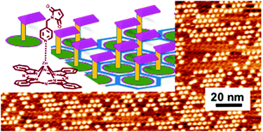 Graphical abstract: Probing the in-air growth of large area of 3D functional structures into a 2D supramolecular nanoporous network