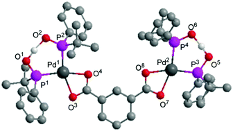 Graphical abstract: Synthesis of chiral supramolecular bisphosphinite palladacycles through hydrogen transfer-promoted self-assembly process