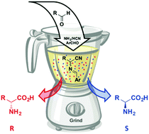 Graphical abstract: The Strecker reaction coupled to Viedma ripening: a simple route to highly hindered enantiomerically pure amino acids