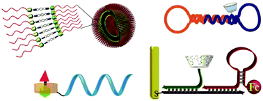 Graphical abstract: Design, synthesis, and applications of DNA–macrocyclic host conjugates