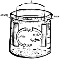 Graphical abstract: Single-compartment hydrogen peroxide fuel cells with poly(3,4-ethylenedioxythiophene) cathodes