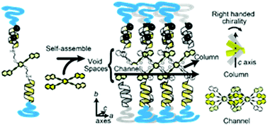 Graphical abstract: Compartmentalized host spaces accommodating guest aromatic molecules in a chiral way in a helix-peptide-aromatic framework