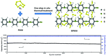 Graphical abstract: An in situ chemically and physically confined sulfur–polymer composite for lithium–sulfur batteries with carbonate-based electrolytes
