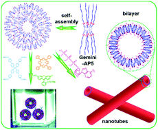 Graphical abstract: A new amphiphilic pillar[5]arene: synthesis and controllable self-assembly in water and application in white-light-emitting systems