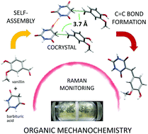 Graphical abstract: Mechanochemical carbon–carbon bond formation that proceeds via a cocrystal intermediate