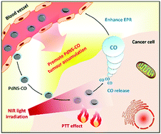 Graphical abstract: Use of an NIR-light-responsive CO nanodonor to improve the EPR effect in photothermal cancer treatment