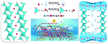 Graphical abstract: Preparation of 1D ultrathin niobate nanobelts by liquid exfoliation as photocatalysts for hydrogen generation
