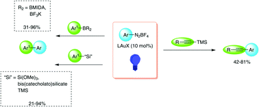 Graphical abstract: New transmetalation reagents for the gold-catalyzed visible light-enabled C(sp or sp2)–C(sp2) cross-coupling with aryldiazonium salts in the absence of a photosensitizer