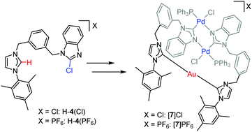 Graphical abstract: Site-selective metallation of dicarbene precursors