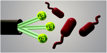 Graphical abstract: A symbiotic supramolecular approach to the design of novel amphiphiles with antibacterial properties against MSRA