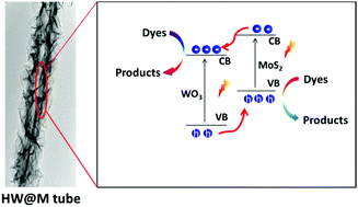 Graphical abstract: A novel route to manufacture WO3@MoS2 p–n heterostructure hollow tubes with enhanced photocatalytic activity