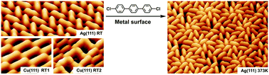 Graphical abstract: Diverse supramolecular structures self-assembled by a simple aryl chloride on Ag(111) and Cu(111)