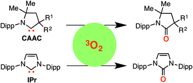 Graphical abstract: Dioxygen activation with stable N-heterocyclic carbenes
