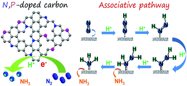 Graphical abstract: Electrochemical nitrogen reduction to ammonia at ambient conditions on nitrogen and phosphorus co-doped porous carbon