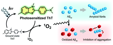Graphical abstract: Chemical and mechanistic analysis of photodynamic inhibition of Alzheimer's β-amyloid aggregation