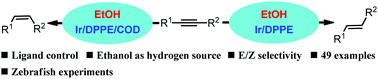 Graphical abstract: Ligand-controlled iridium-catalyzed semihydrogenation of alkynes with ethanol: highly stereoselective synthesis of E- and Z-alkenes