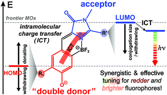Graphical abstract: Designing redder and brighter fluorophores by synergistic tuning of ground and excited states
