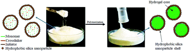 Graphical abstract: Scalable synthesis of core–shell microgel particles using a ‘dry water’ method