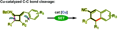 Graphical abstract: Radical-induced ring-opening and reconstruction of cyclobutanone oxime esters