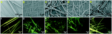 Graphical abstract: Controllable morphology and self-assembly of one-dimensional luminescent crystals based on alkyl-fluoro-substituted dithienophenazines
