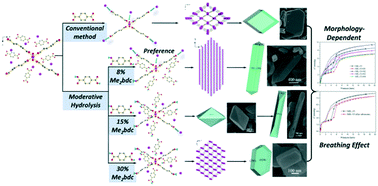 Graphical abstract: Impact of moderative ligand hydrolysis on morphology evolution and the morphology-dependent breathing effect performance of MIL-53(Al)