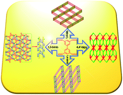 Graphical abstract: Binuclear Mn2+ complexes of a biphenyltetracarboxylic acid with variable N-donor ligands: syntheses, structures, and magnetic properties