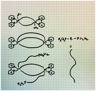 Graphical abstract: Mimicking cellular phospholipid bilayer packing creates predictable crystalline molecular metal–organophosphonate macrocycles and cages