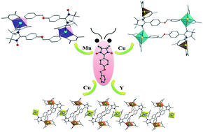 Graphical abstract: A functional nitroxide ligand builds up two 2p–3d complexes with different spin ground states and a 2p–3d–4f chain of rings
