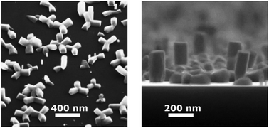 Graphical abstract: Droplet epitaxy mediated growth of GaN nanostructures on Si (111) via plasma-assisted molecular beam epitaxy