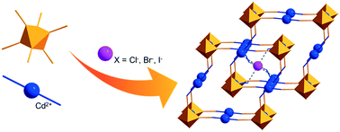 Graphical abstract: Stabilization of interpenetrating cluster-based frameworks promoted by N–H⋯X hydrogen bonds: synthesis, structures and properties of {[Cd(NH3)4]3[Re3Mo3Se8(CN)6]}X (X = Cl, Br and I)