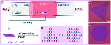 Graphical abstract: Controllable growth of two-dimensional WSe2 using salt as co-solvent