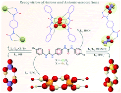 Graphical abstract: Halo-phenyl based linear dipodal receptors for entrapment of anions/anionic associations within neutral non-cooperative self-assemblies