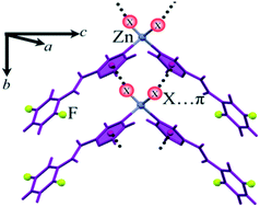 Graphical abstract: Lone pair⋯π interaction versus σ-hole appearance in metal-bonded halogens