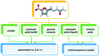 Graphical abstract: Multicomponent crystals of nitrofurazone – when more is less