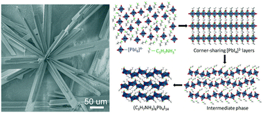 Graphical abstract: Syntheses of two-dimensional propylammonium lead halide perovskite microstructures by a solution route