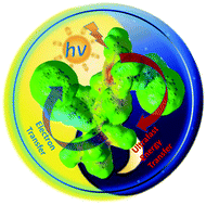 Graphical abstract: Supramolecular complex of a fused zinc phthalocyanine–zinc porphyrin dyad assembled by two imidazole-C60 units: ultrafast photoevents